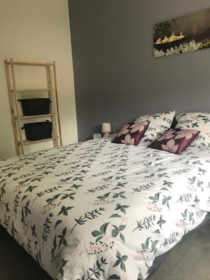 Appartement A Tarascon Sur Ariege Le Sabart Exteriér fotografie